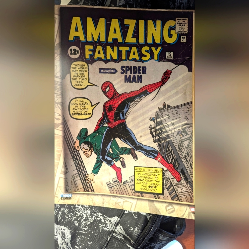 Marvel Spider Man poster